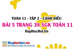 Bài 5 trang 38 Toán 11 tập 2 Cánh Diều